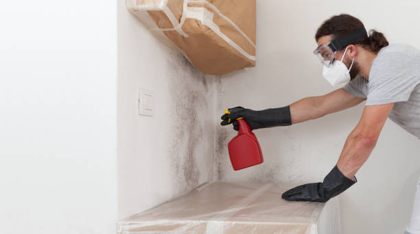 Professional Crawl Space Mold Removal technician working in Dunkirk, MD