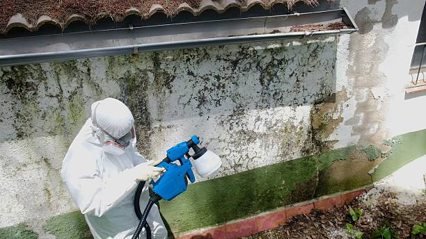 Trusted Bathroom Mold Removal service in Dunkirk, MD - Cheap Mold Removal